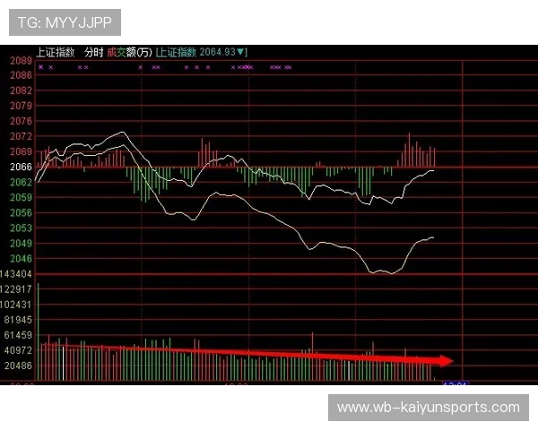 波胆单双怎么看盘避坑指南平台对比防骗